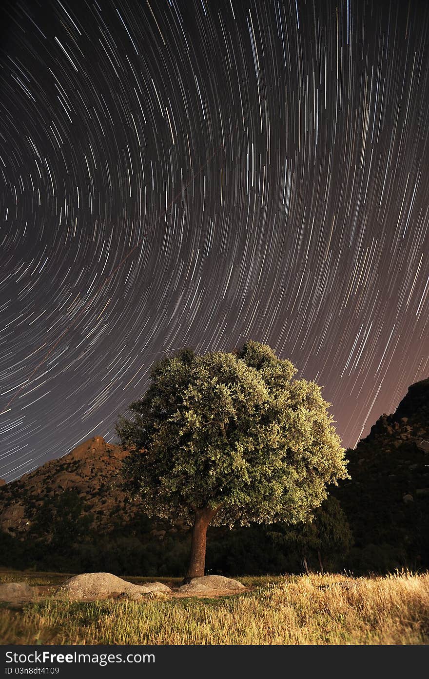 Startrails in La Pedriza, Madrid, Spain