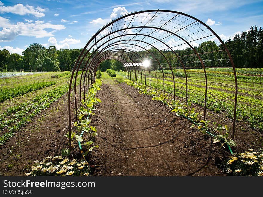 A steel construction on a field