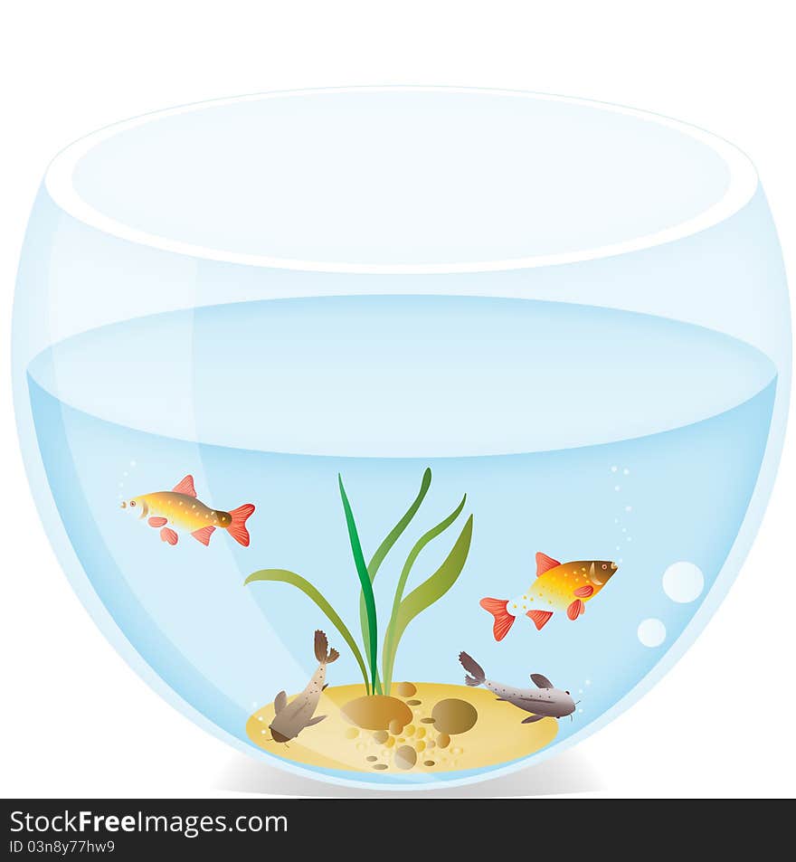 Small fishes in a round aquarium