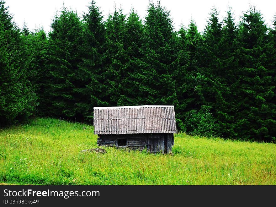 An old farmhouse near the forest