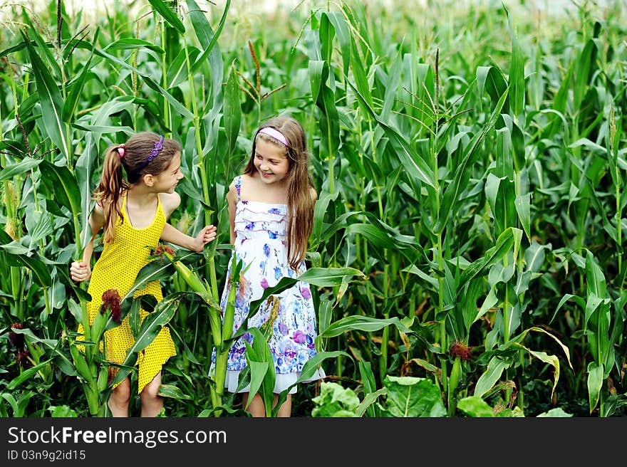 An image of two little girls in the green cornfield. An image of two little girls in the green cornfield