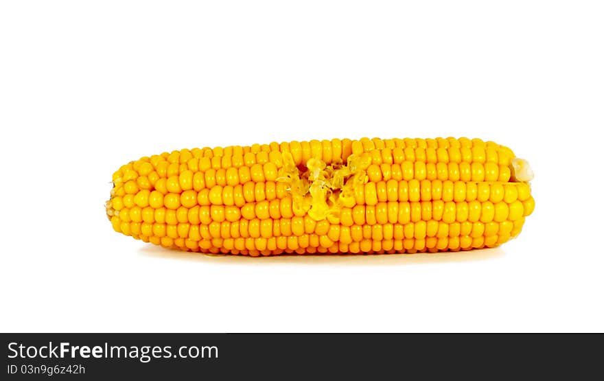 Cooked corn cob