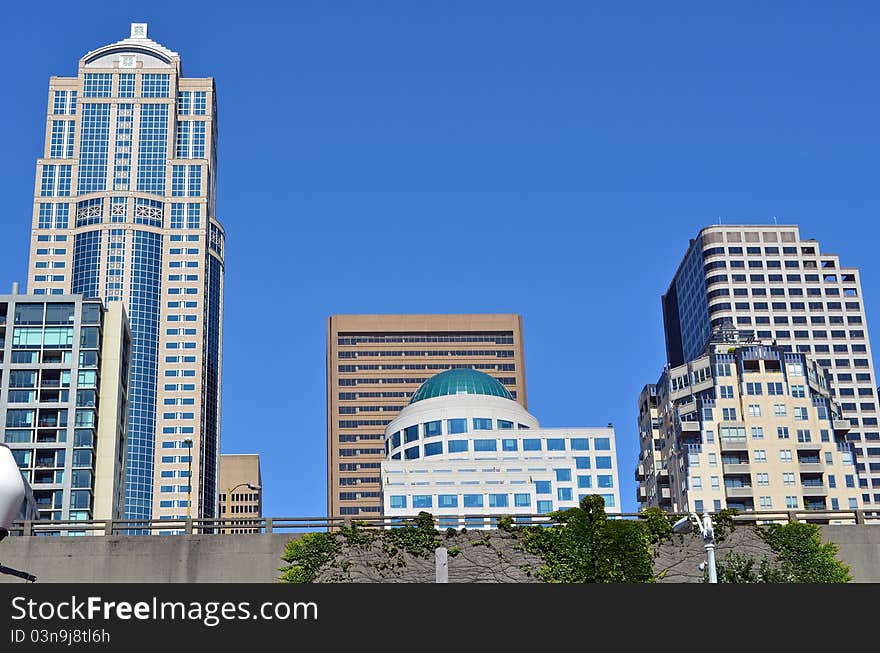 Downtown Seattle from below