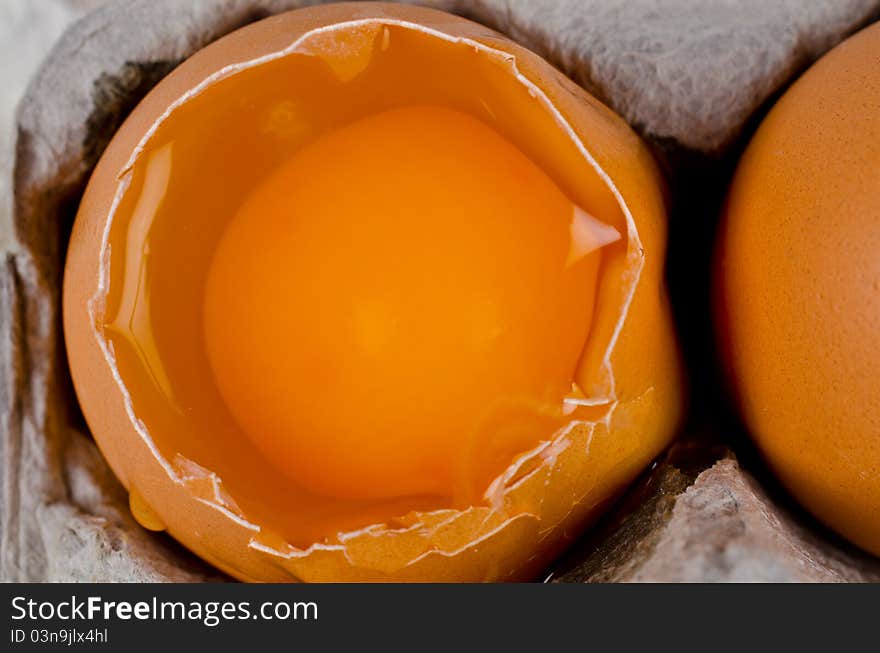 Detail of fresh raw egg in an egg box