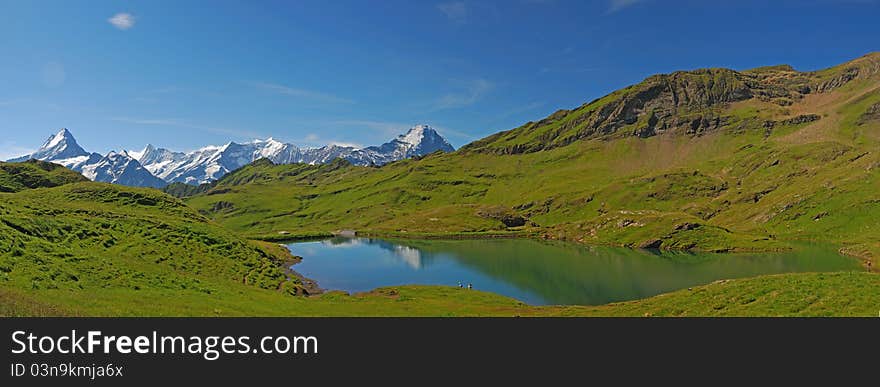 View of the snow mountain of Jungfraujoch in south of Swiss from the First. View of the snow mountain of Jungfraujoch in south of Swiss from the First