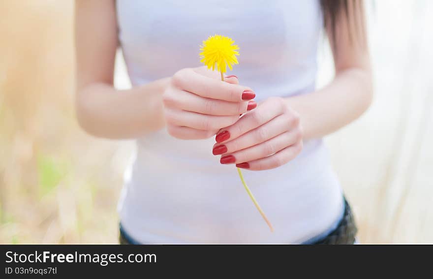 Girl on yellow dandelion on green field. Girl on yellow dandelion on green field