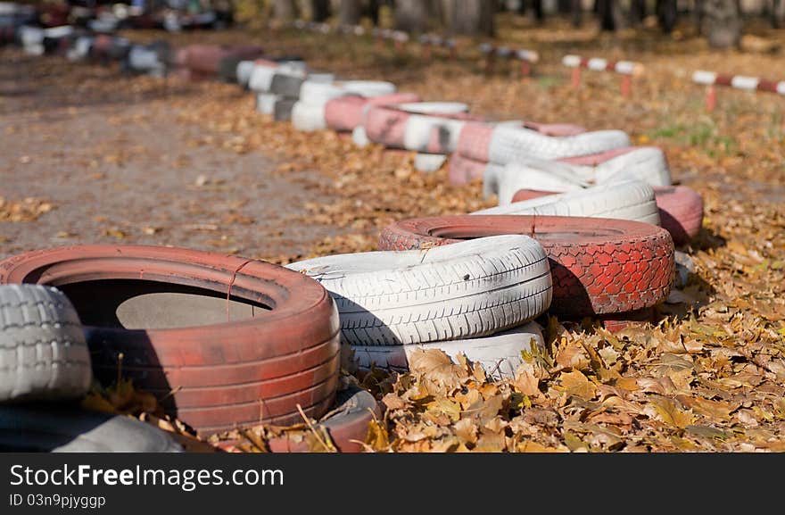 Forest polluted with old tires, in the fall foliage