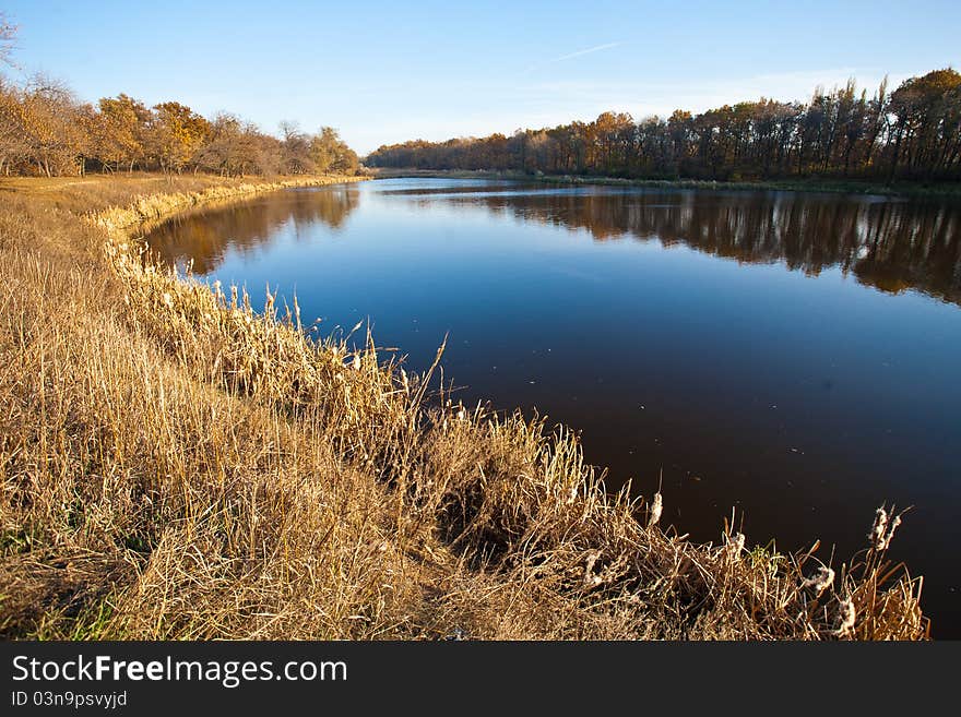 Autumn trees reflected in water