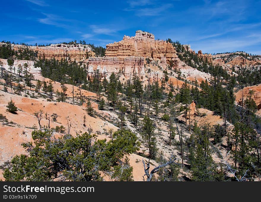 Beautiful Bryce Canyon