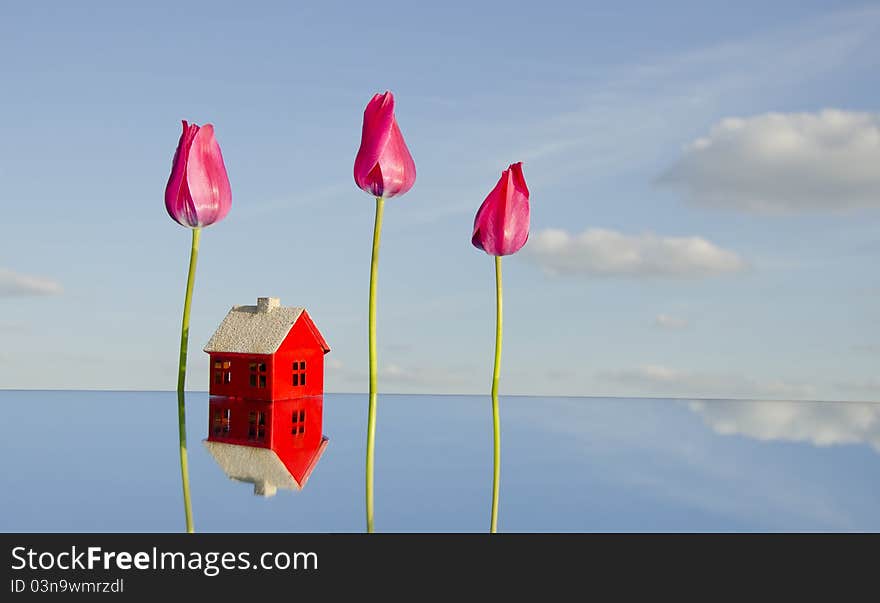 House symbol and three tulips on mirror. House symbol and three tulips on mirror