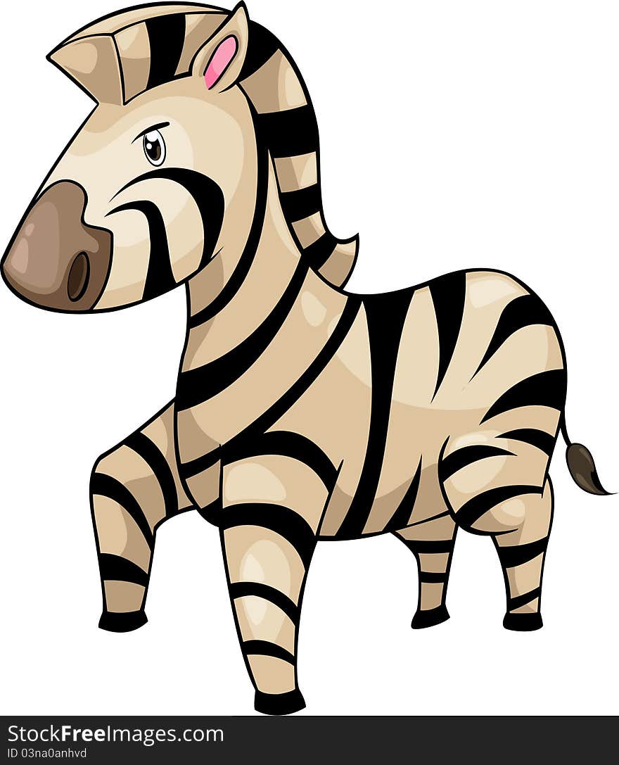 Zebra vector