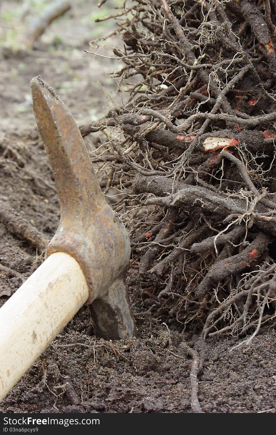 Pickaxe Used As Gardening Tool