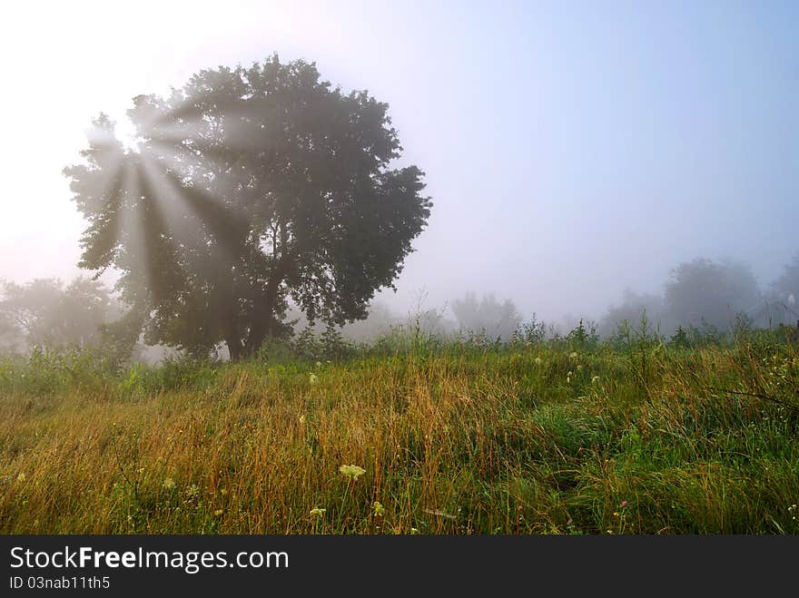 Autumn landscape, cool morning, sunshine