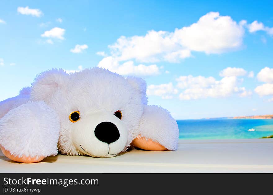 Toy polar bear in the background of a beautiful sky with clouds. Toy polar bear in the background of a beautiful sky with clouds