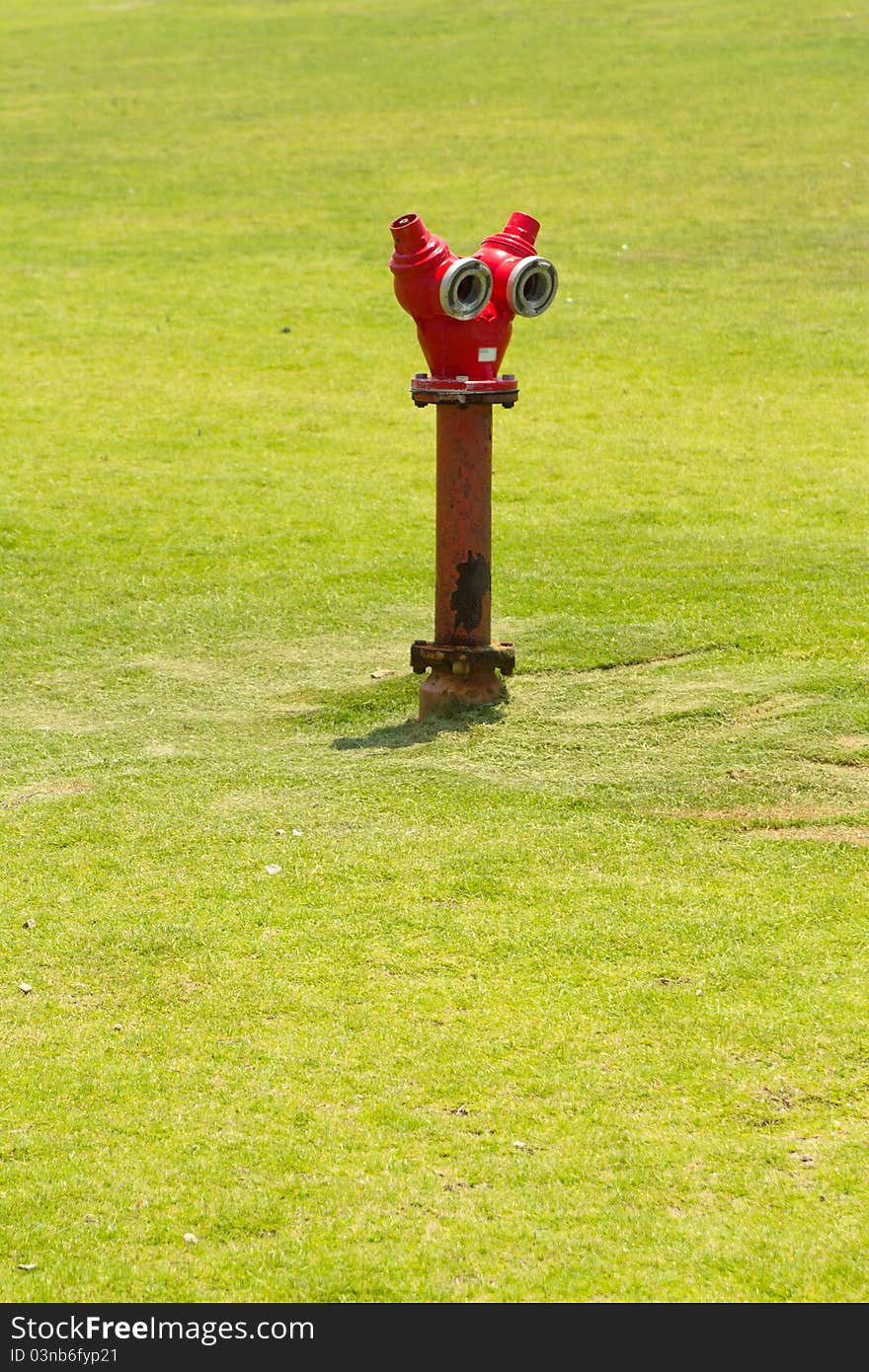 Fireplug on grass field