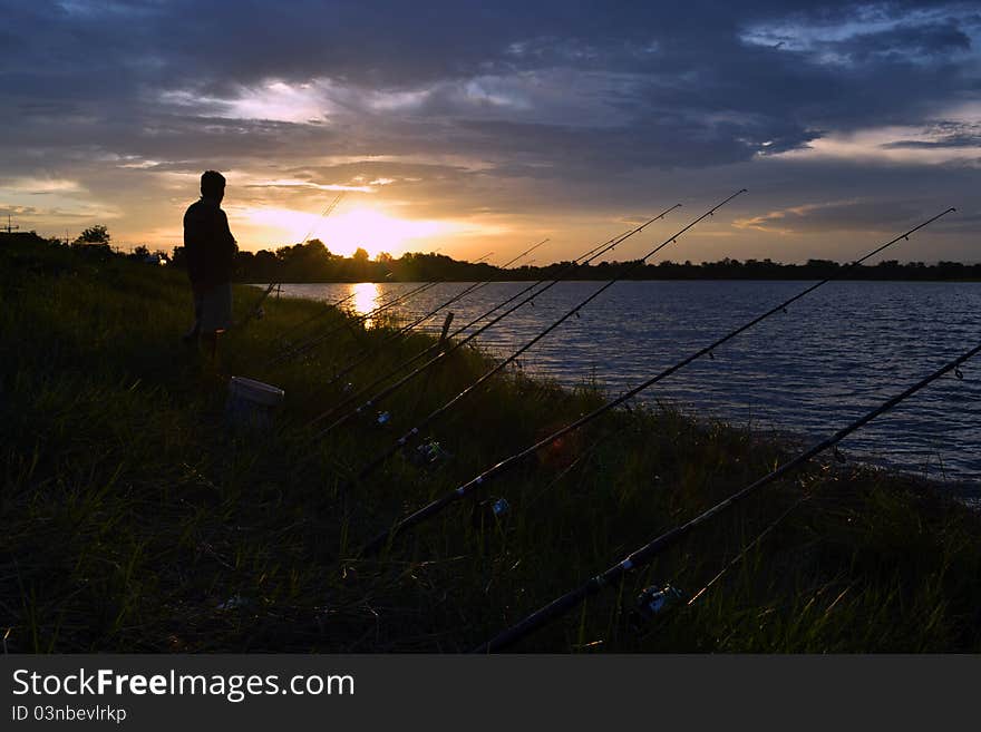 The farmer at the lake for fish in the dawn. The farmer at the lake for fish in the dawn