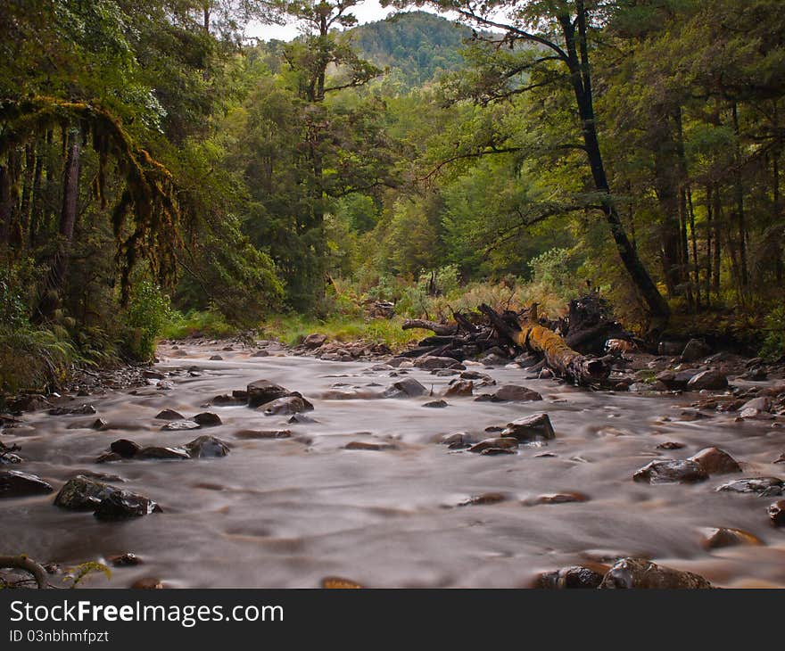 A fast flowing forest stream. A fast flowing forest stream