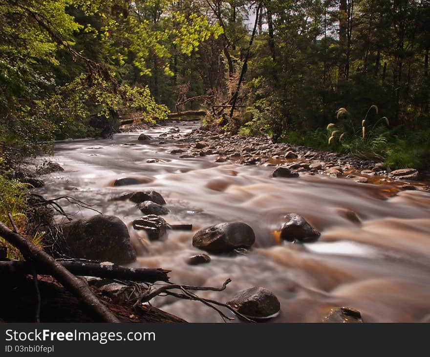 A fast flowing forest stream. A fast flowing forest stream