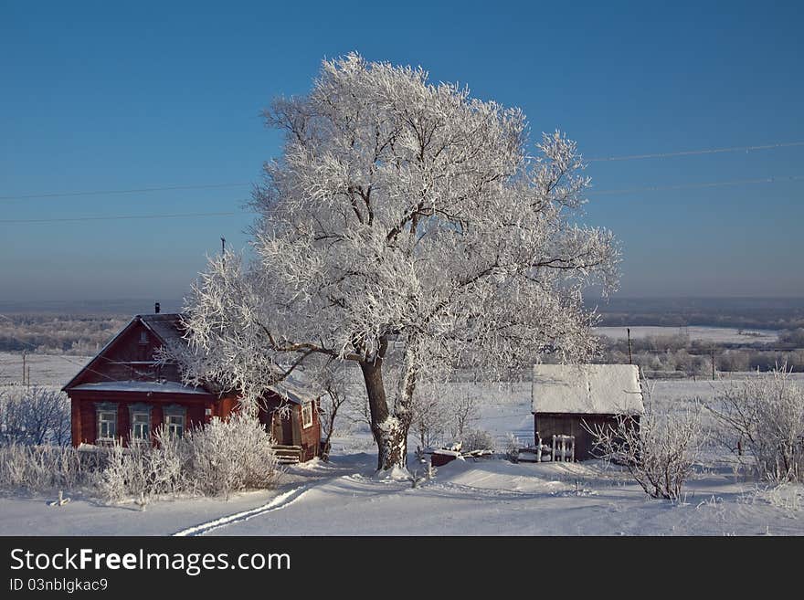 Christmas in the countryside