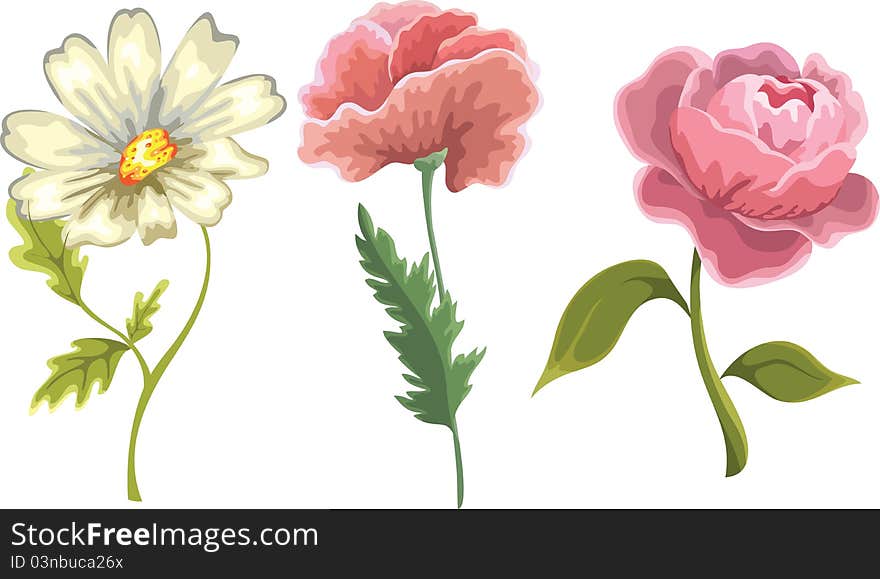 Set of flowers isolated on white background