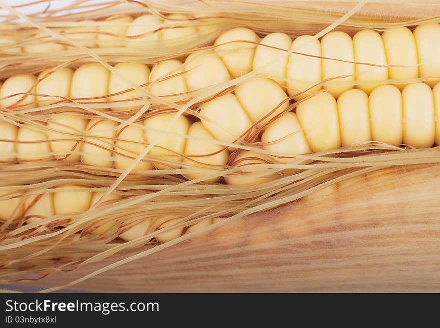 Corn isolated on white background.