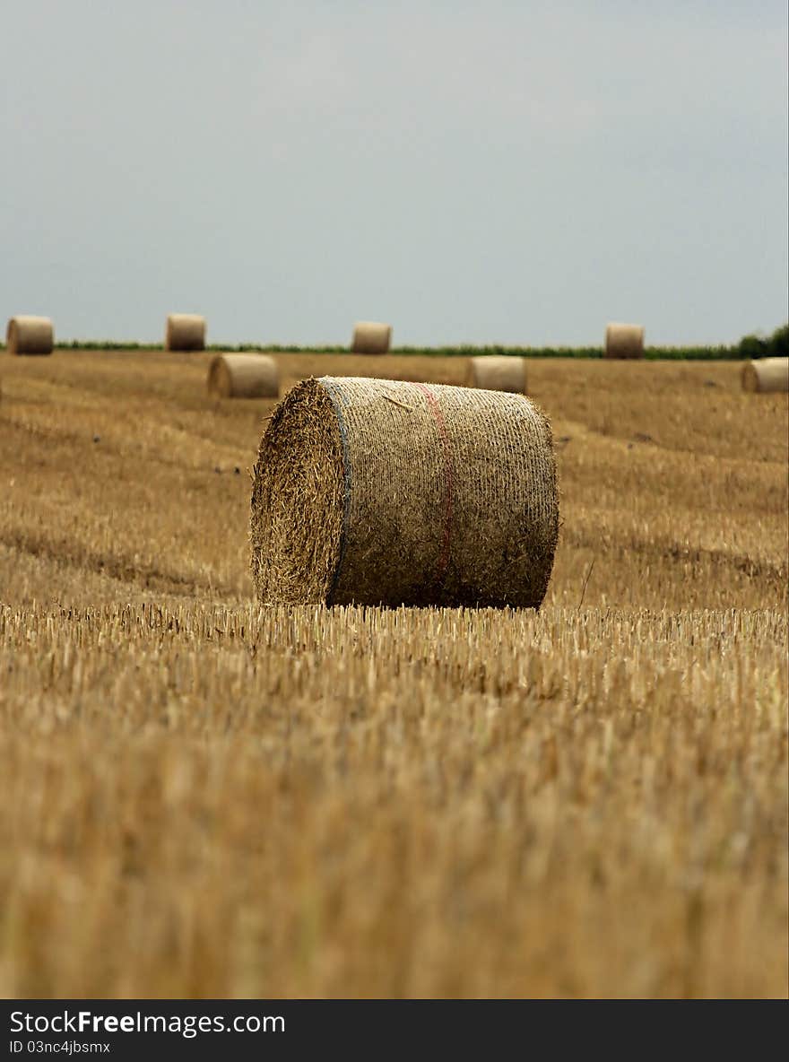 Bundle of straw with blue sky