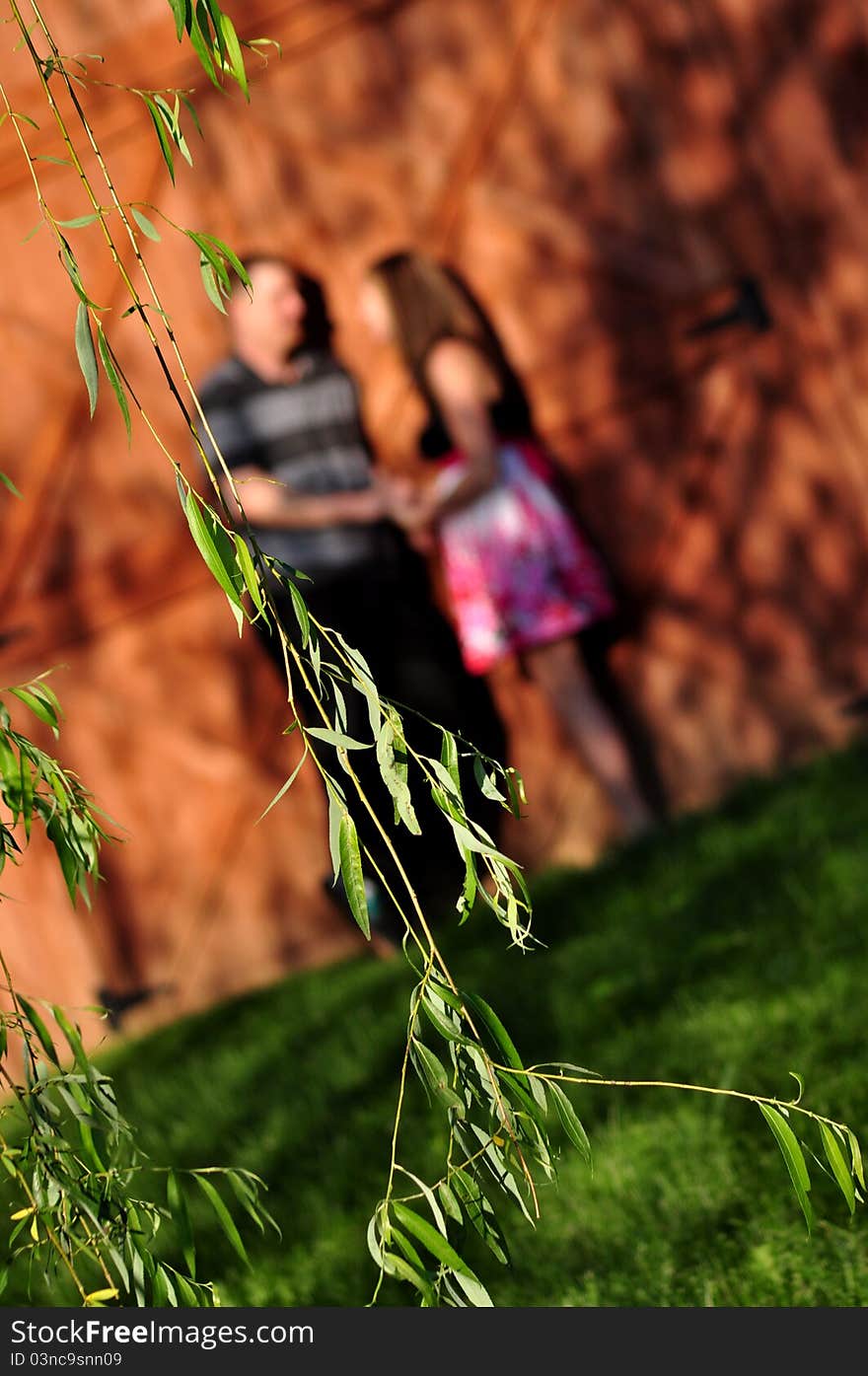 A blurred image of a young couple standing beside a barn with branches of a willow tree in the foreground. A blurred image of a young couple standing beside a barn with branches of a willow tree in the foreground