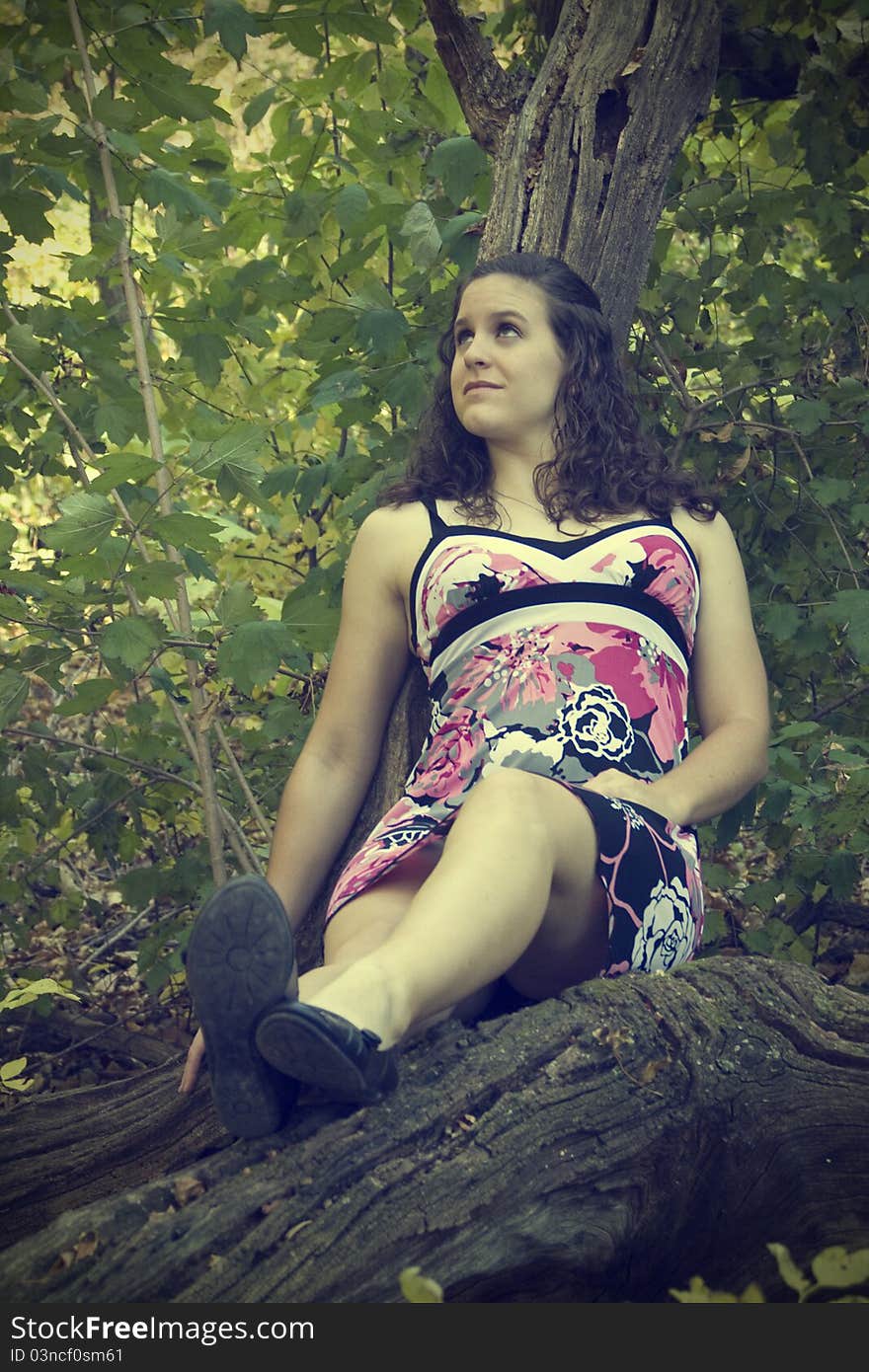 A vintage-style photo of a young woman reclining on a tree branch. A vintage-style photo of a young woman reclining on a tree branch.