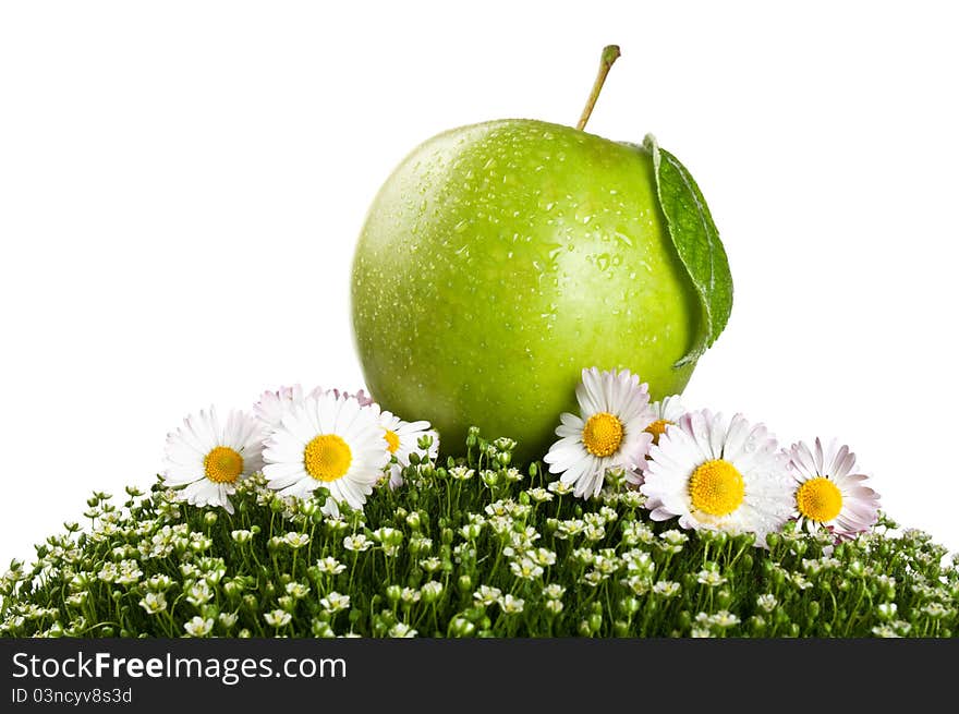 Fresh apple on a green grass isolated on a white background