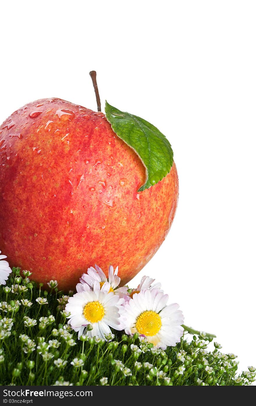 Fresh apple on green grass isolated on a white background