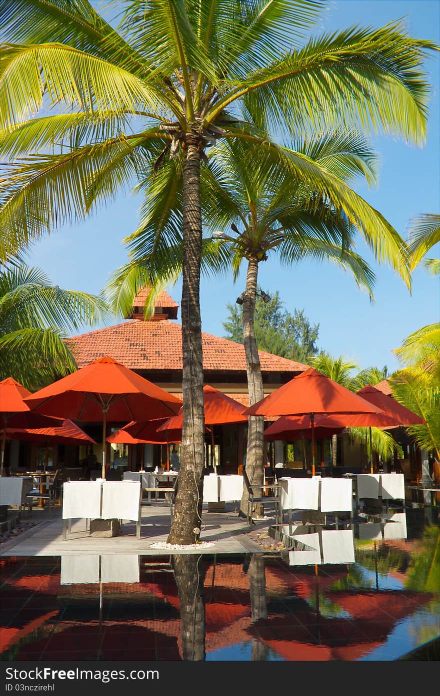 Open-air restaurant at tropical resort by swimming pool, surrounded by Palm trees.