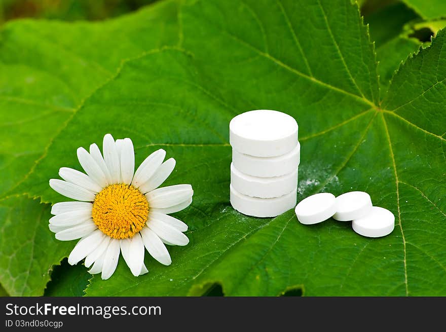 Pills with chamomile flower lying on leaf in garden. Pills with chamomile flower lying on leaf in garden