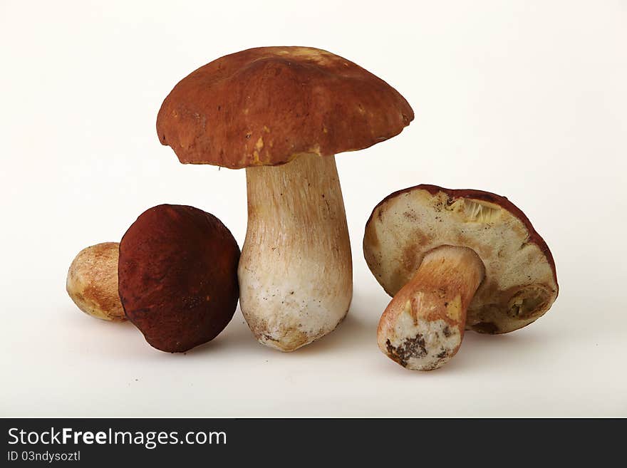 Ceps (Boletus edulis)