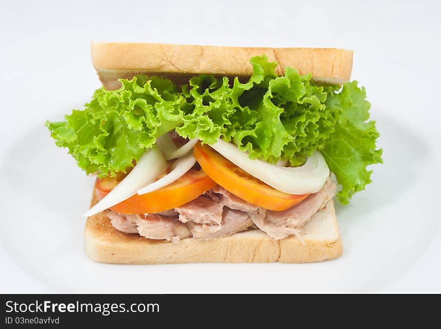 Sandwich tuna on white background