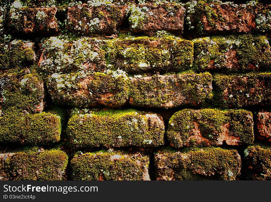 Detail of moss on the old brick wall