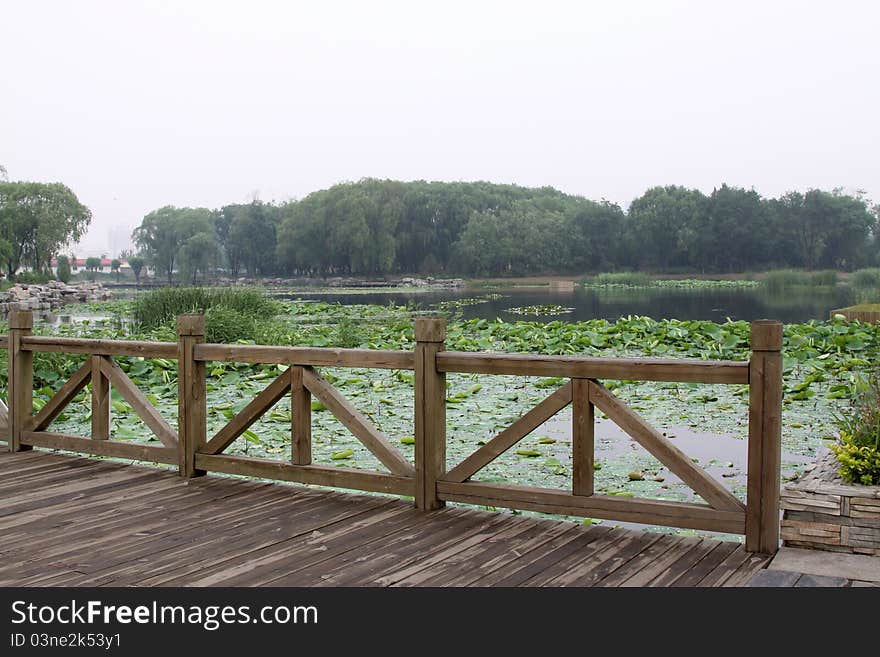 Wood bridge in a park in spring