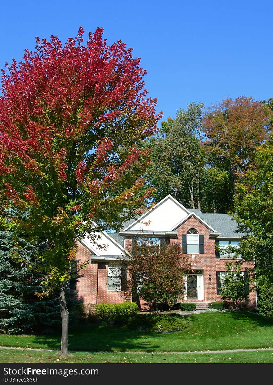 September colors with house in a subdivision and frontyard landscape. September colors with house in a subdivision and frontyard landscape