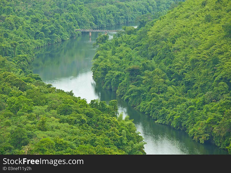 Bridge To The Jungle Mountain