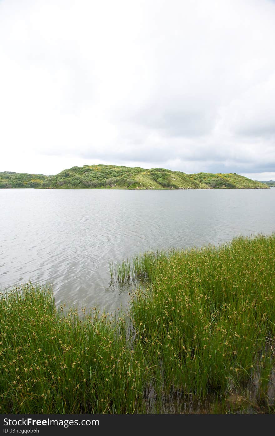 Grey lagoon between green