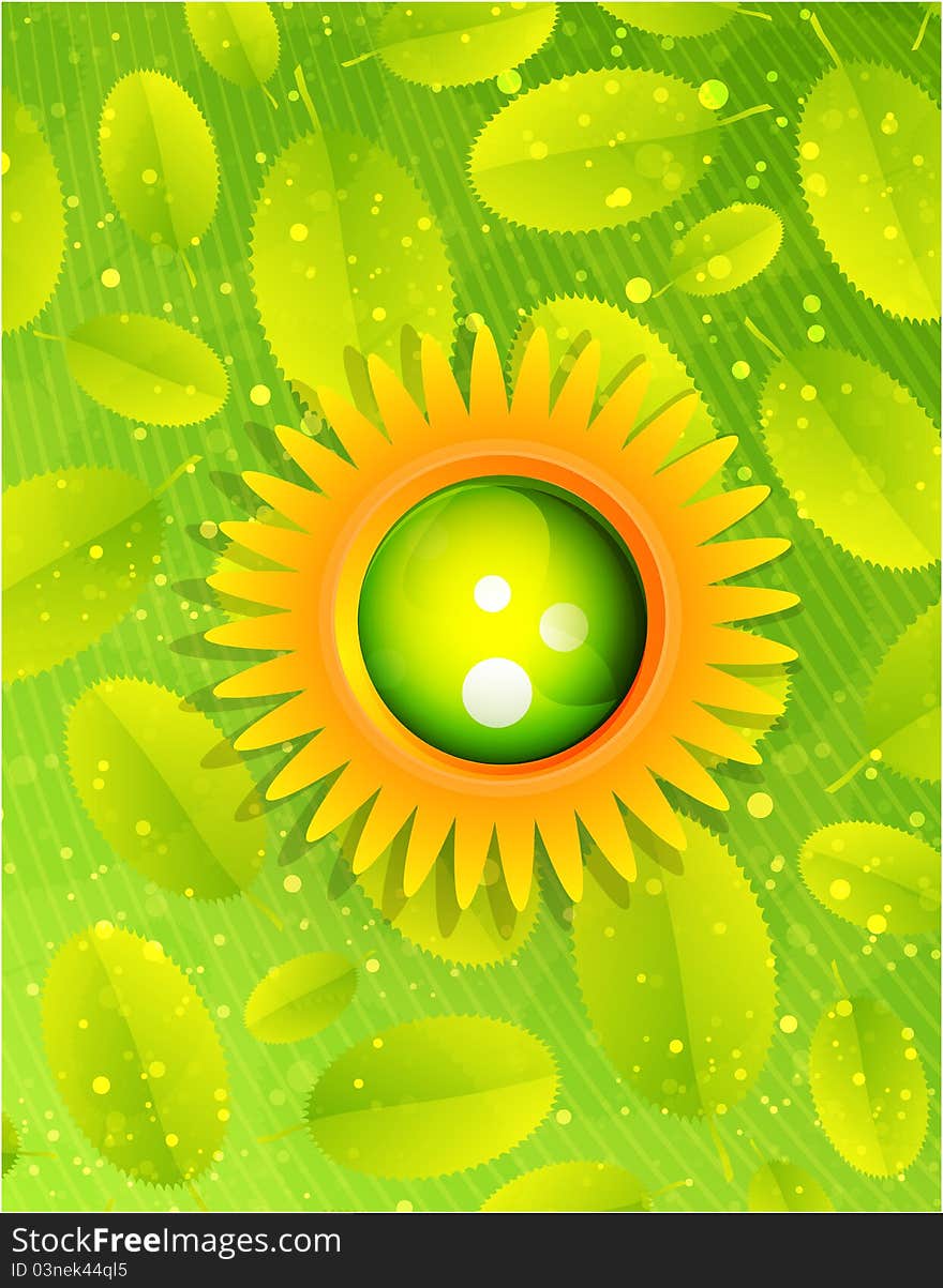 Sun With Leaves. Nature Concept