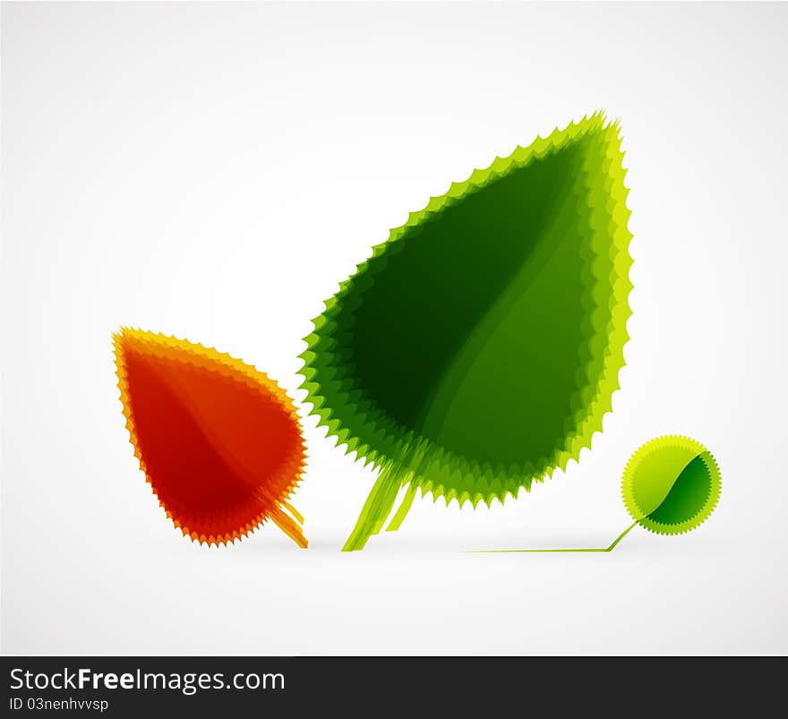 Vector illustration for your design. Vector illustration for your design