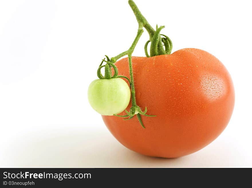 A nice ripe red tomato and a small green tomato. A nice ripe red tomato and a small green tomato.