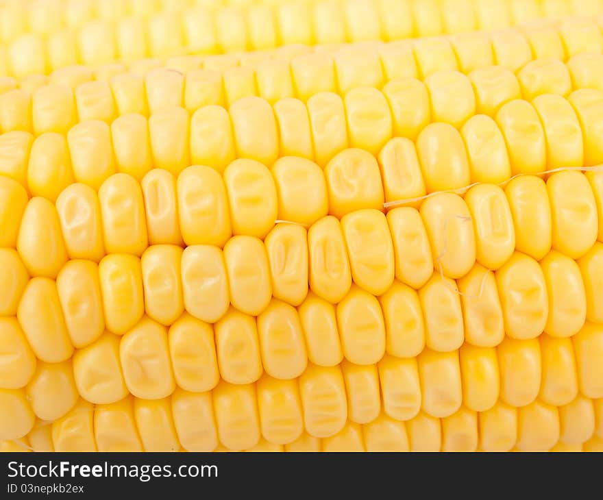 Maize