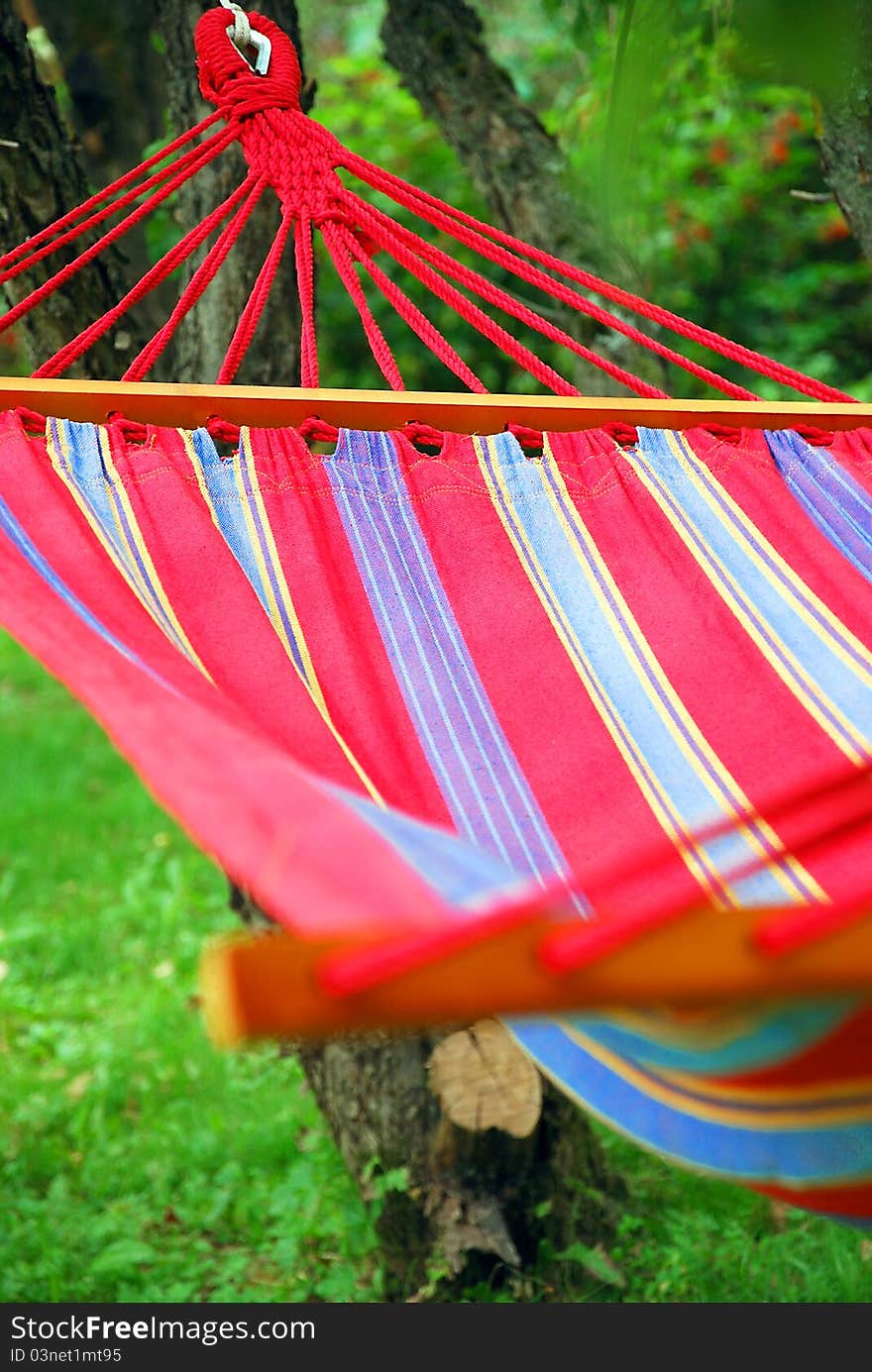 A hammock in the garden