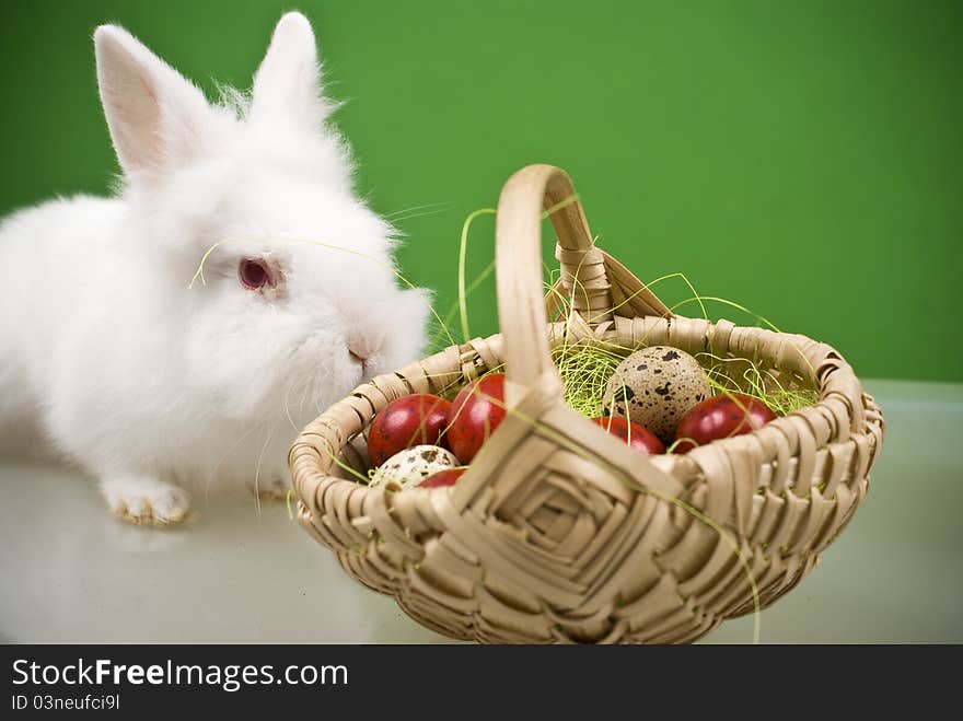 Front view of a white bunny, near a basket full of painted Easter eggs