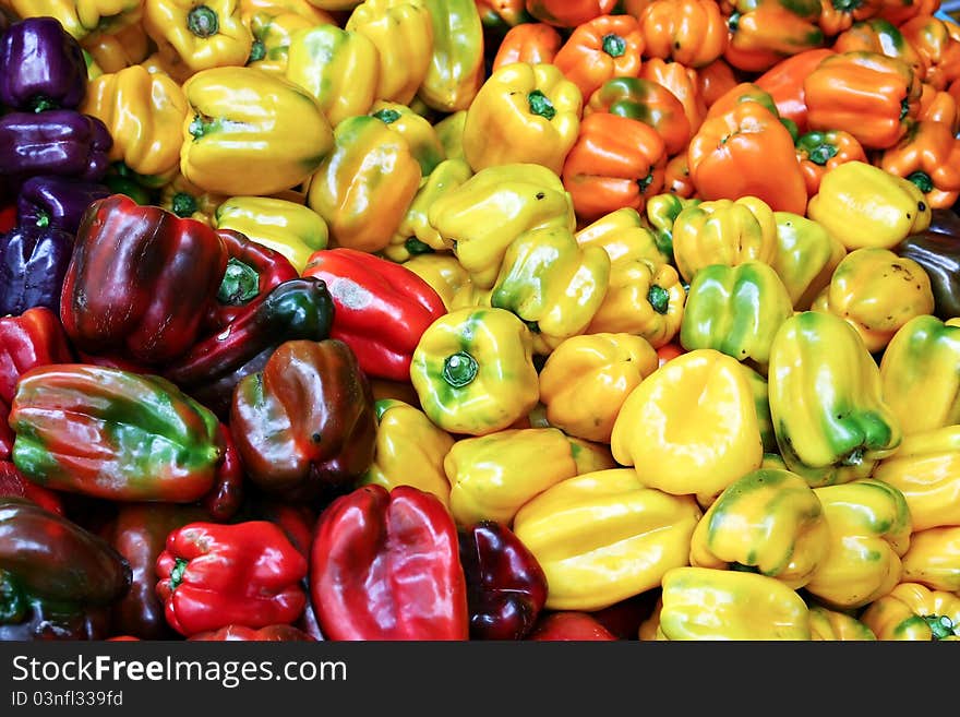 Variety of multi-colored bell peppers. Variety of multi-colored bell peppers