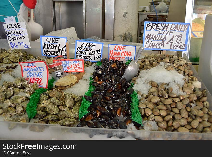 Clams, muscles, and oysters for sale. Clams, muscles, and oysters for sale