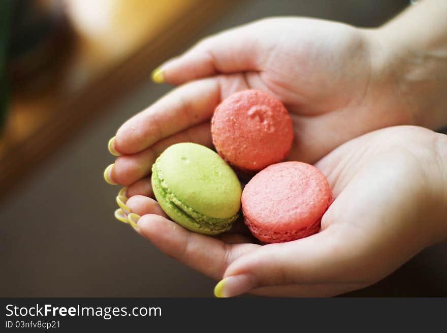 Macaroon in the hands