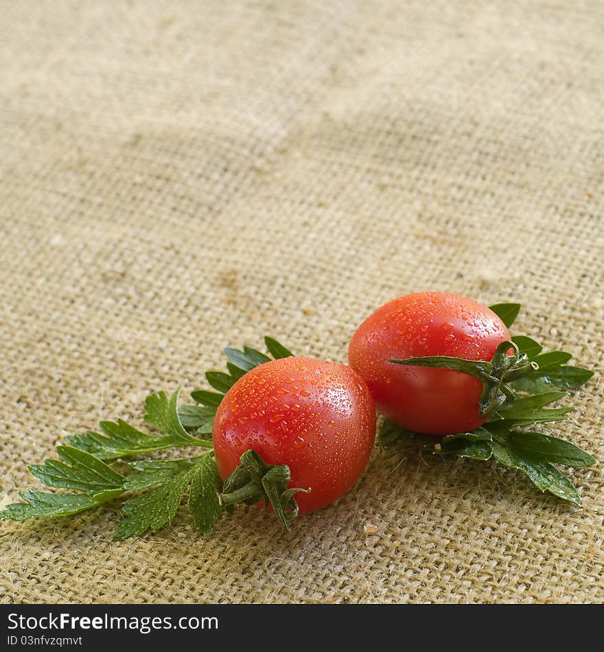 Cherry tomatoes with parsley for background. Selective focus