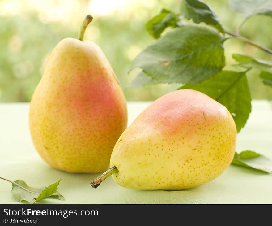 Pears